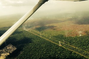 Continuan trabajos para controlar el incidente “Quemadal” en Quintana Roo