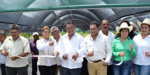 Inauguran vivero de jatropha para producción de biodiesel en Soledad de Doblado