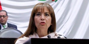 El CONEVAL no debe ser un instrumento político: Nelly Vargas