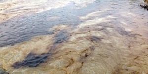 Exige Gobierno de Veracruz a PEMEX resarcir daño ecológico en Coatzintla, por derrame de hidrocarburo