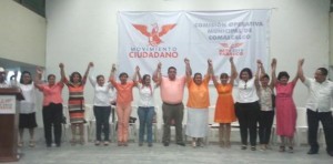 En Movimiento Ciudadano vamos en la ruta correcta al 2015: Guillermo Torres
