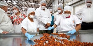 Nuevo impulso, al comercio de chile habanero yucateco