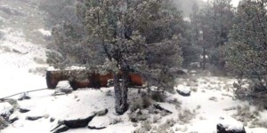 Cae nieve en el Cofre de Perote Veracruz