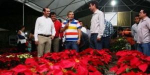 Inauguran Primer Feria de Flores de Nochebuena en Yucatán