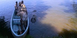 Atiende PROFEPA manatí muerto en la Laguna de las Ilusiones en Tabasco