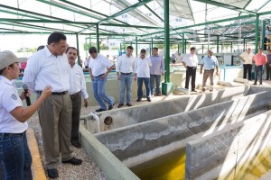 Rehabilitan en Mérida Planta de Tratamiento de Aguas Residuales en fraccionamiento Altabrisa