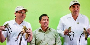 Ofrecerá UJAT asesoría en Guatemala sobre cultivo de pigua