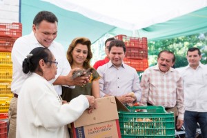 Más de 105 mil familias, beneficiadas con aves de traspatio en Yucatán