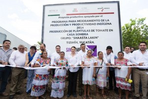 Más de 100 millones, para modernización de carreteras en comunidades indígenas de Yucatán
