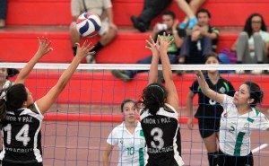 Cerca de 4 mil deportistas participarán en la Olimpiada Estatal Veracruz 2015