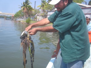 Afecta derrame en Laguna Mecocacán a pescadores y restauranteros