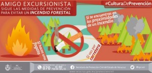 Recomienda PC evitar acciones que originen incendios forestales en Veracruz