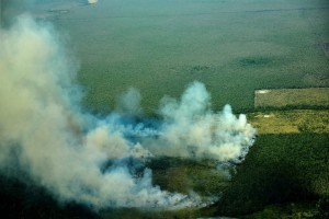 Dan a conocer calendario de quemas 2015 par5a municipios zona norte de Quintana Roo