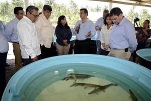 Inaugura Sernapam laboratorio de crías de peces marinos de la UJAT