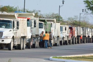 Inicio operativo de eliminación masiva de criaderos de moscos en Yucatán
