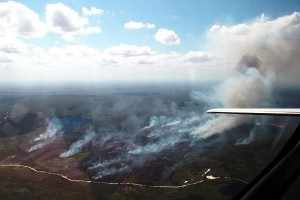 Extinguen 4 incendios forestales en Quintana Roo