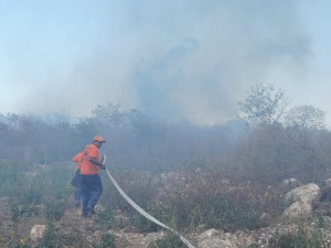 Combaten incendios forestales en Yucatán