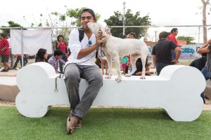 Inauguran Peek Park, primer parque canino de Mérida