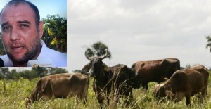 La sequía no ha afectado a la ganadería en Campeche: Gustavo Rodríguez