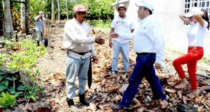 Se compromete Manuel Graniel Burelo a recuperar plantaciones de Comalcalco
