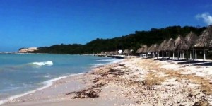 Paso libre a las playas campechanas: PROFEPA