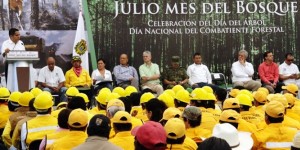 Abierta, convocatoria en Veracruz a premios al Mérito Ambiental y Forestal 2015