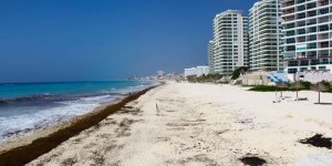 Continuidad del gobierno municipal a limpieza de playas en Cancún