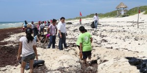 Ayuntamiento de Cozumel pone en marcha Empleo Temporal limpieza de playas