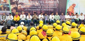 Disminuyen incendios forestales en Veracruz