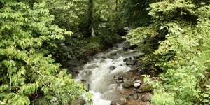 Impulsa SECTUR ecoturismo en la cuenca del río Pixquiac