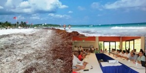 Crean frente común para atender sargazo que llega a las playas de Quintana Roo