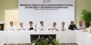 Marea roja no representa riesgo para la población en Yucatán