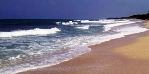 Playas de Veracruz, aptas para vacacionistas: SS