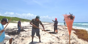 Cuidado de las Playas una prioridad para el gobierno de Cozumel