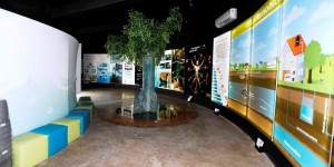 De Enero a Julio, más de 8 mil personas visitaron el museo del agua: CAPA