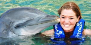 Invierte Grupo Delphinus 9 MDD para dos delfinarios en Quintana Roo