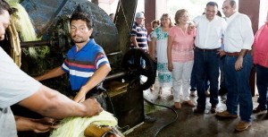 Con millonaria inversión, gobierno de Yucatán impulsan industria henequenera