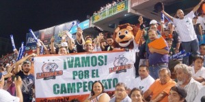 Leones van contra Tigres de Quintana Roo por la final en la zona sur