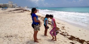 Playas públicas de Quintana Roo, en óptimas condiciones, revela monitoreo