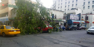 Ventolera derriba arboles y semáforos en la capital en Tabasco