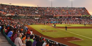 Leones contra Tigres, por el campeonato del Sur