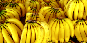 Se consolida Veracruz como tercer productor de plátano a nivel nacional