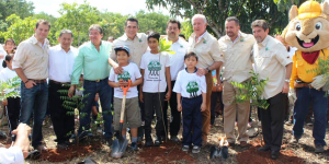 Moreno Cárdenas invita a la población campechana a sembrar arboles