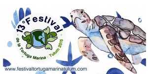 Protegen más de 4 mil 700 nidos de Tortuga en el Santuario de Xcacel – Xcacelito