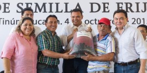 Incrementa en un 50 por ciento la entrega de semilla de frijol Jamapa en Yucatán