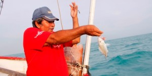 Inicia en Costas de Yucatán el registro para elaborar el nuevo padrón de pescadores