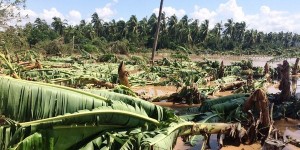 Destruye “Patricia”, más de dos mil hectáreas en el campo