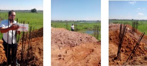 Clausura PROFEPA obras y actividades de relleno en zona de humedales en Tabasco