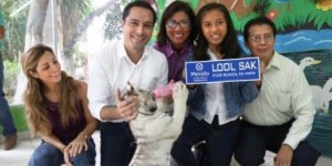 Premia el alcalde de Mérida la creatividad infantil