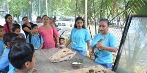 Revisarán en la UJAT protección de anfibios y reptiles